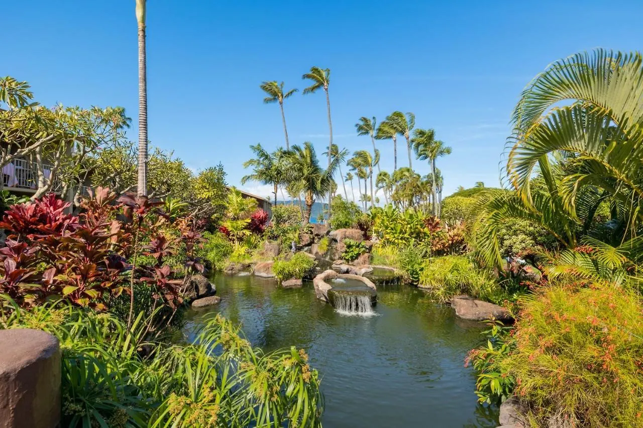 Napili Shores G154 Ocean View Studio Condo Kahana 0*,  United States