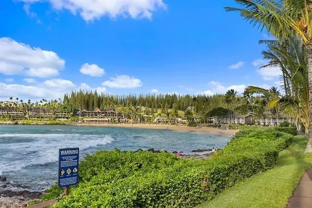 Napili Shores G154 Ocean View Studio Condo Kahana United States