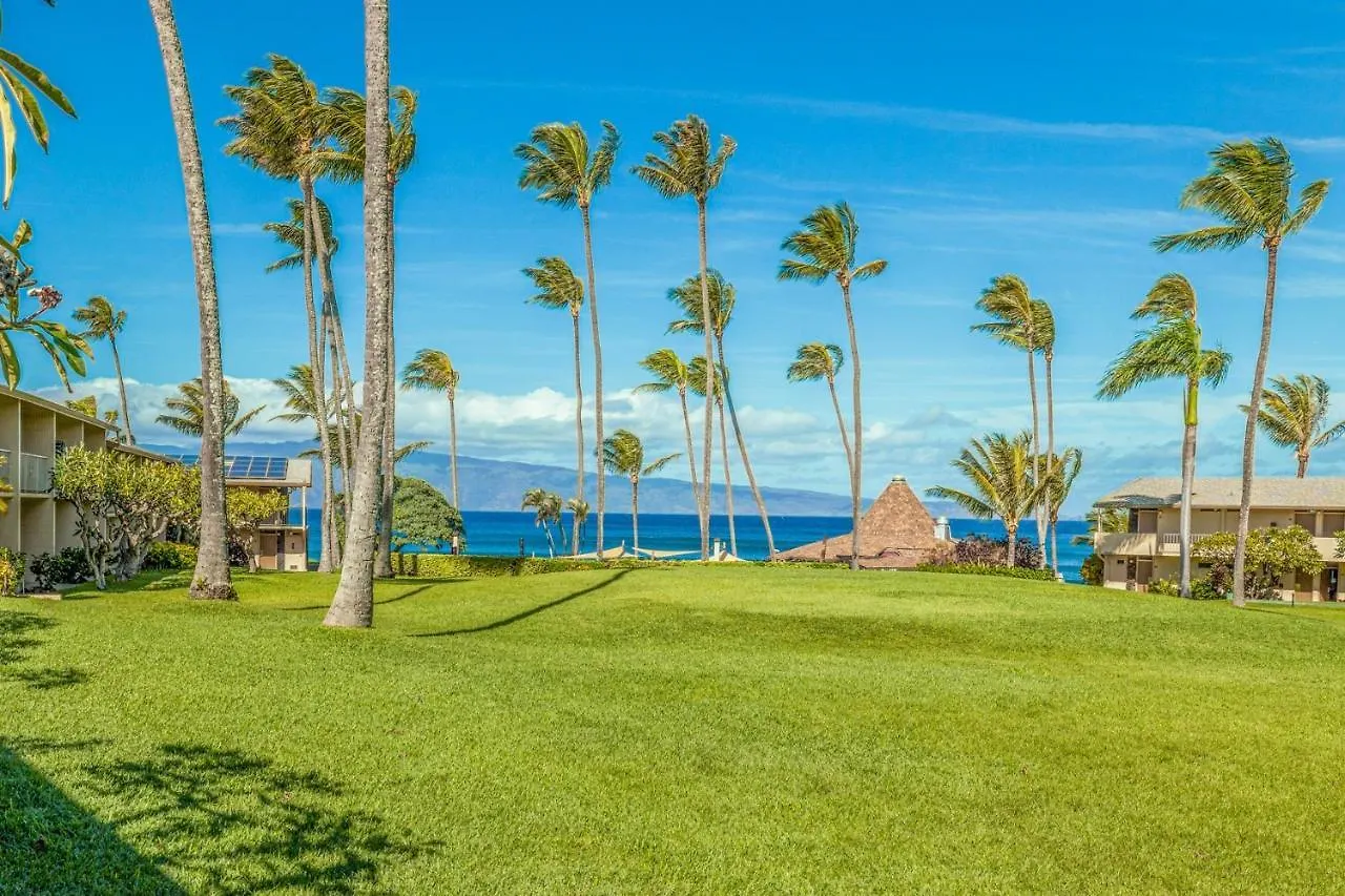 Napili Shores G154 Ocean View Studio Condo Kahana
