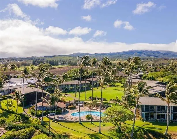 Napili Shores G154 Ocean View Studio Condo Kahana 0*,